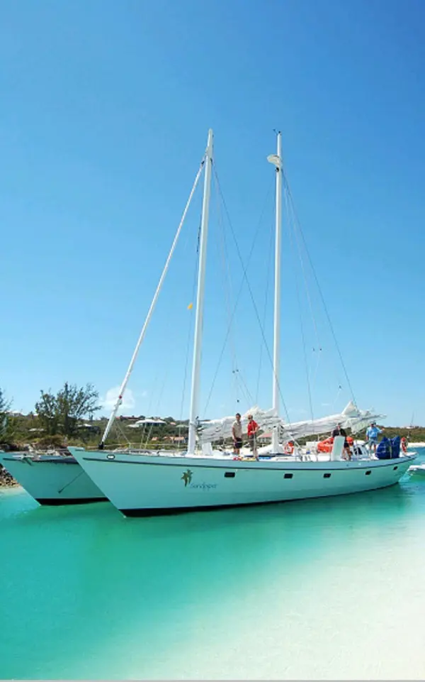 Used Sail Catamaran for sale 2008 CONSTELLATION YACHTS Custom Gaff Rigger Schooner Catamaran