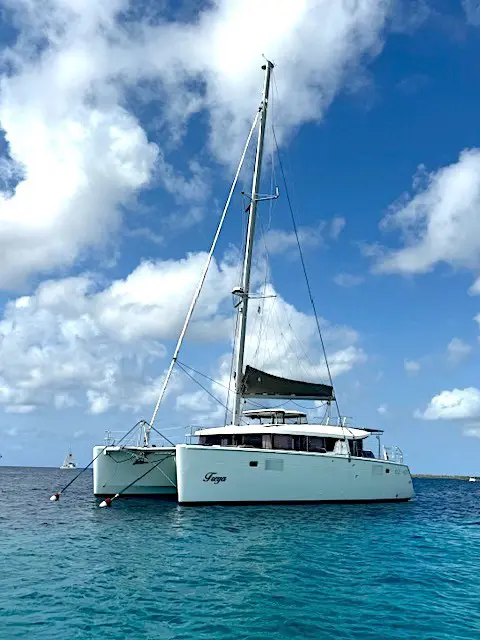 Used Sail Catamaran for Sale 2017 Lagoon 450 S 