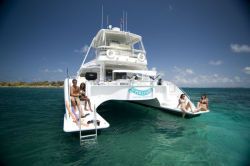 Used Power Catamaran for Sale 2006 Powerplay 52 Boat Highlights