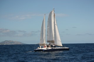 Used Sail Catamaran for Sale 1979 Spronk 50 Ketch Rigged Boat Highlights