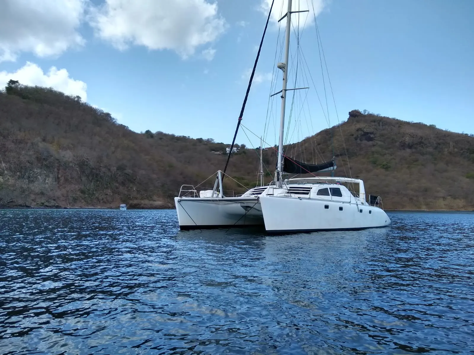 TIGER Sail Leopard 45